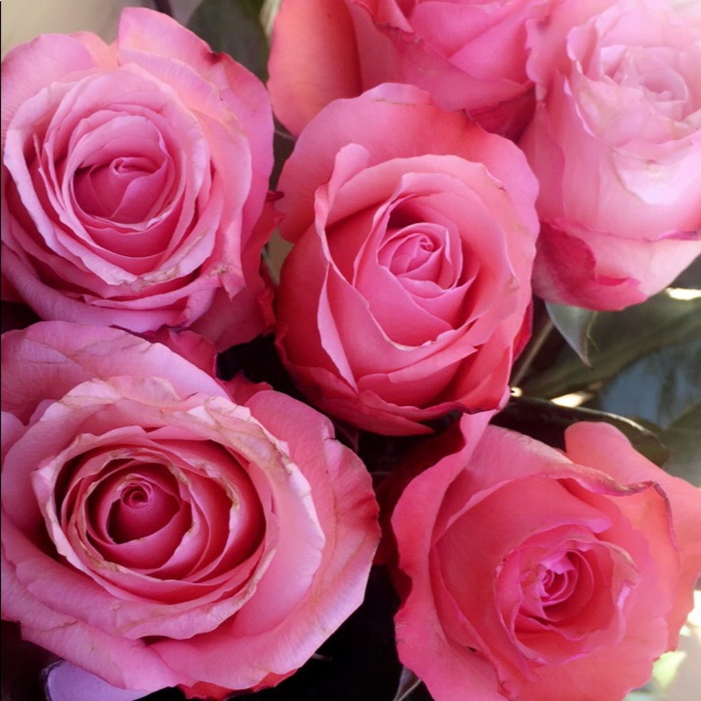 Meet your Posher, Alyssa